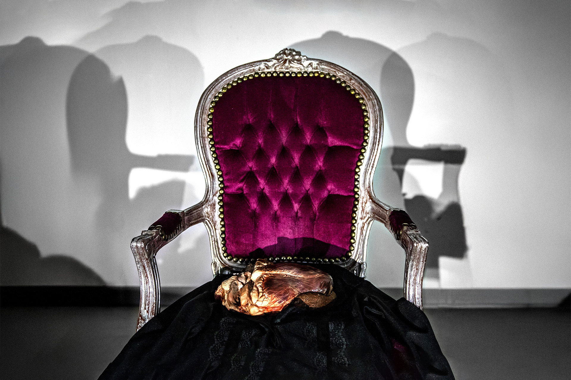 Representative image of the website section