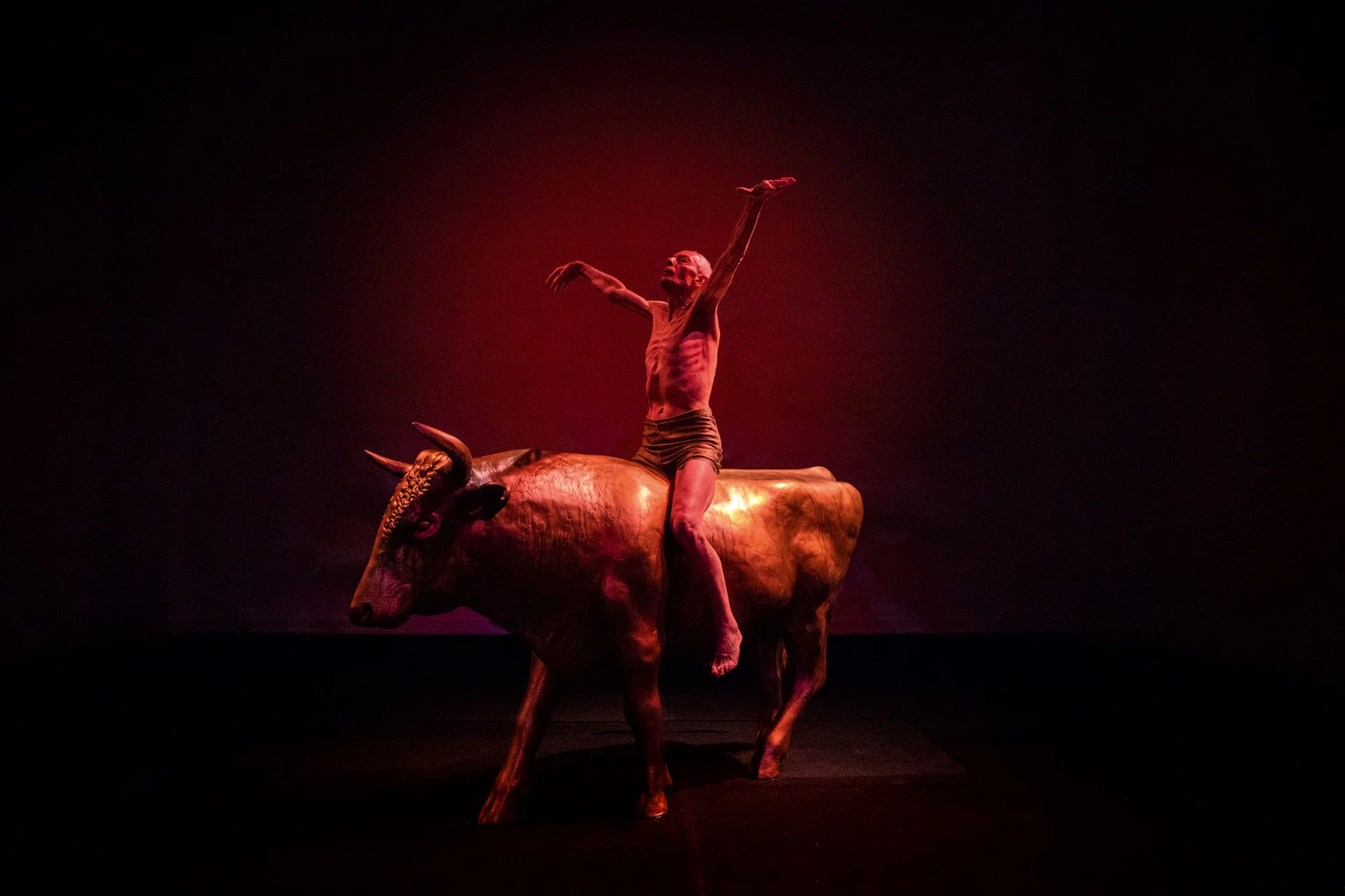 Representative image of the website section