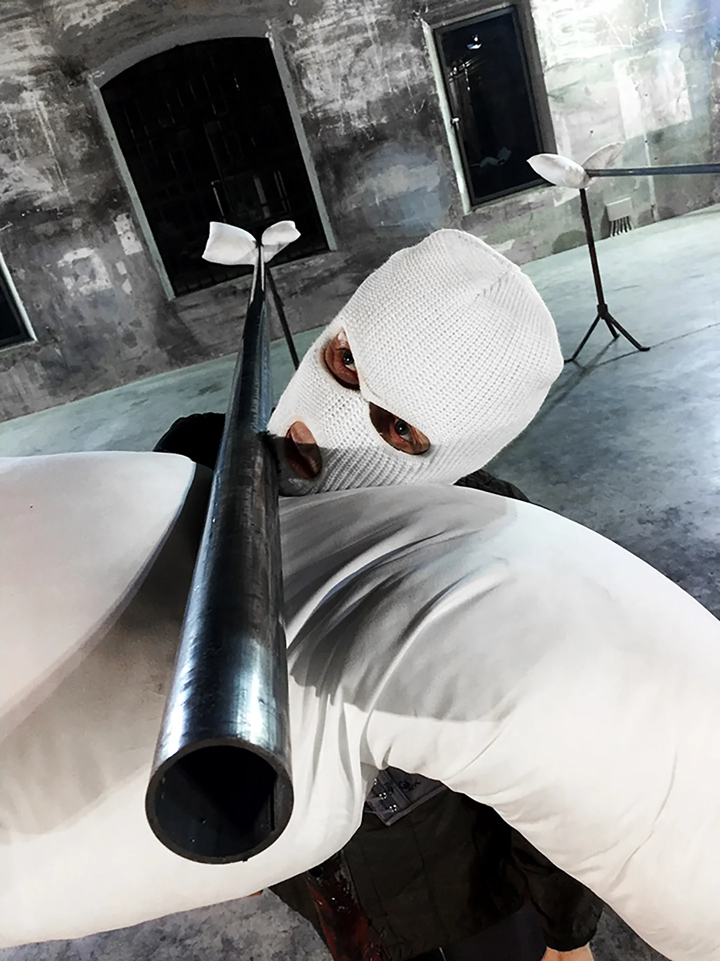 Image Hipógrifo violento