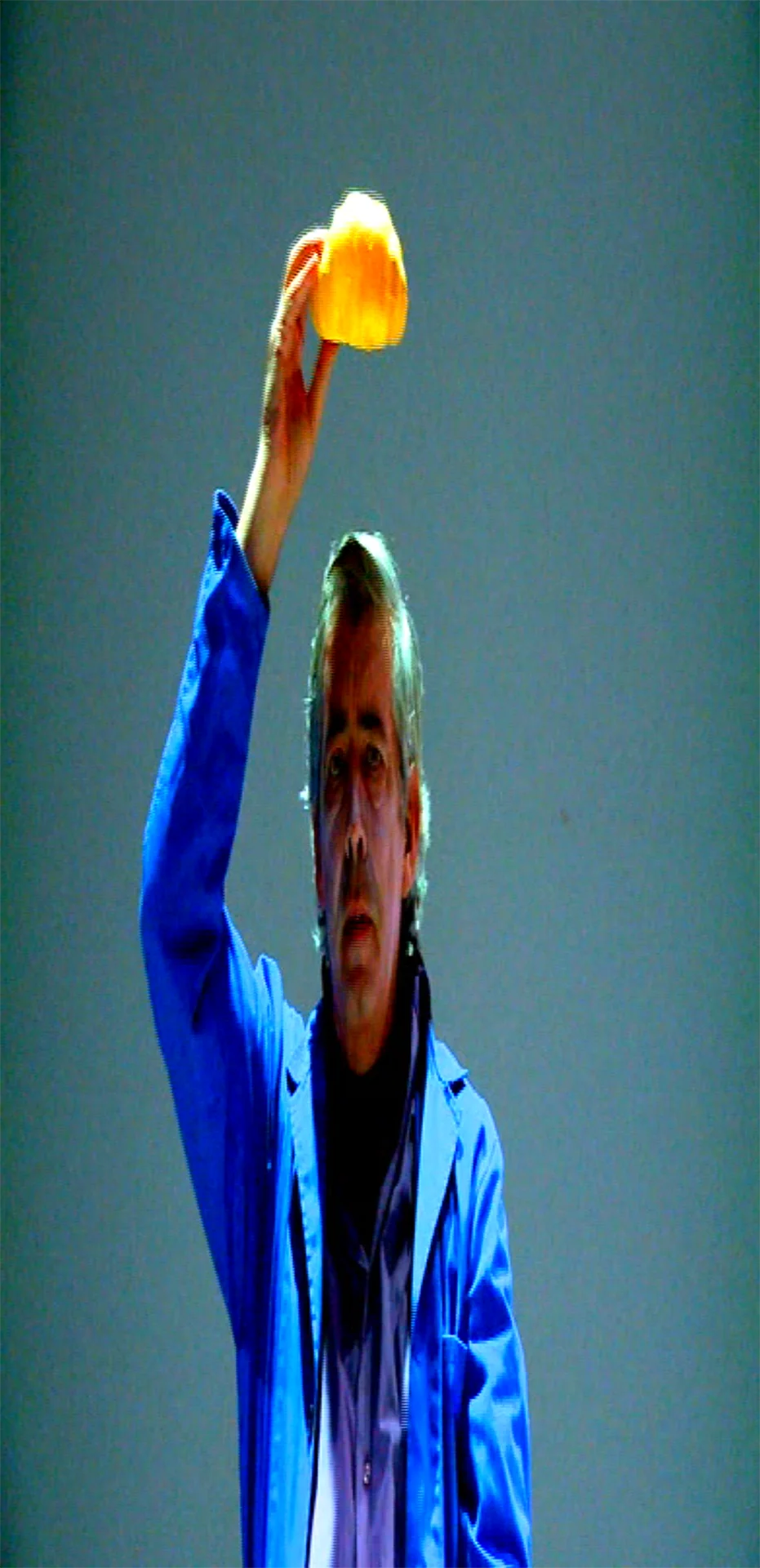 Image The Betrothed videoinstallation