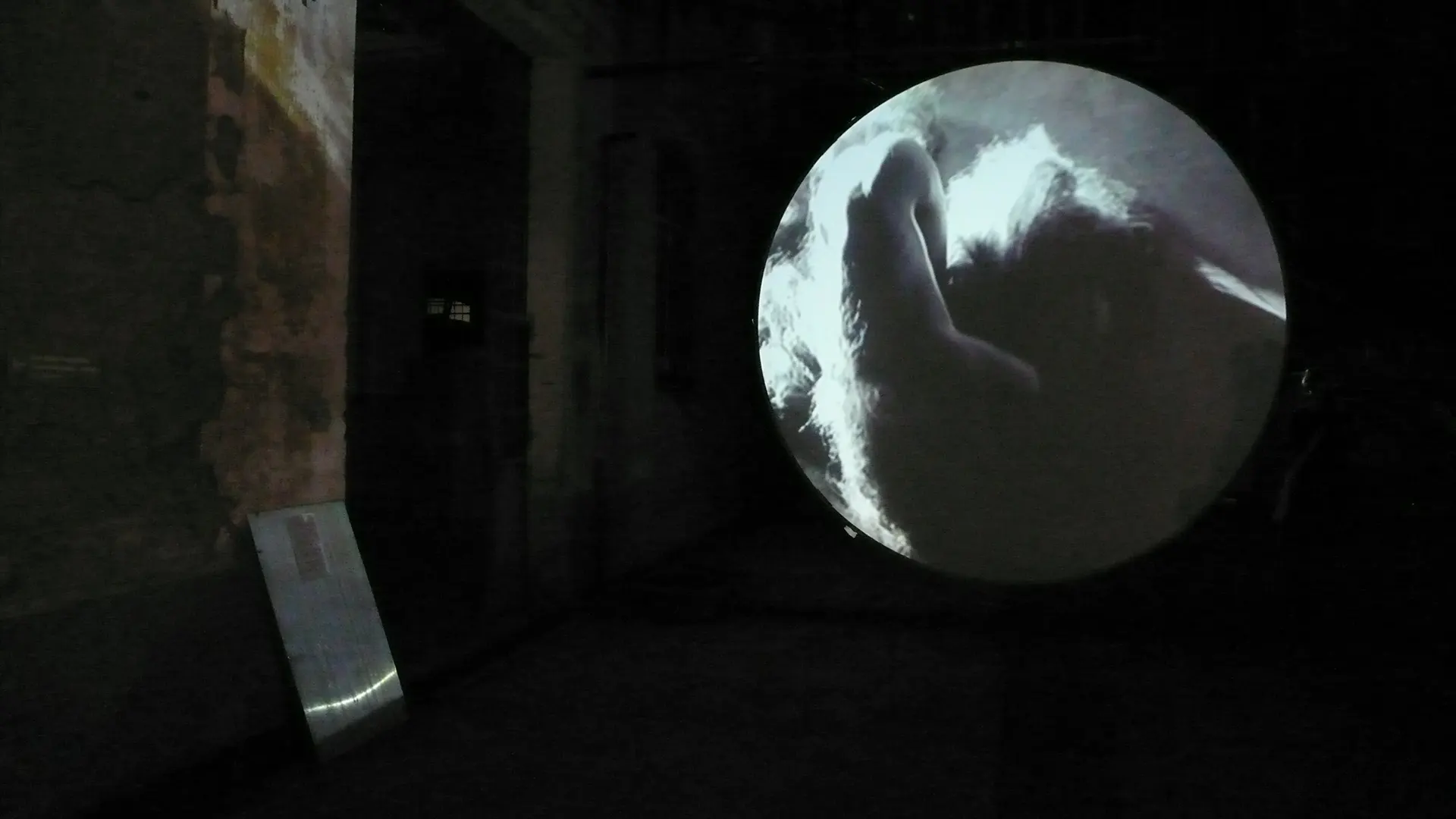 Immagine rappresentativa della sezione del sito