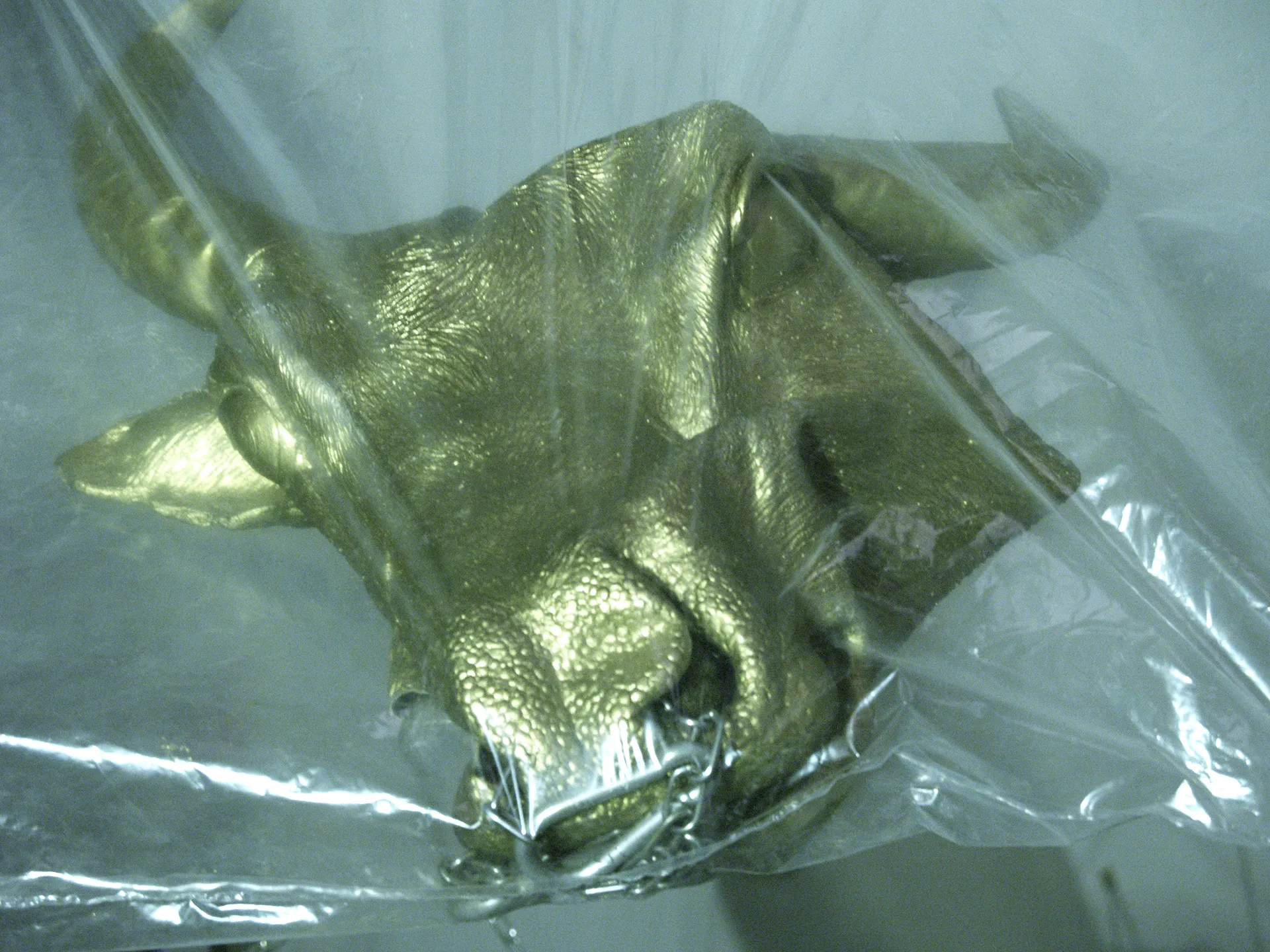 Image Body of evidence