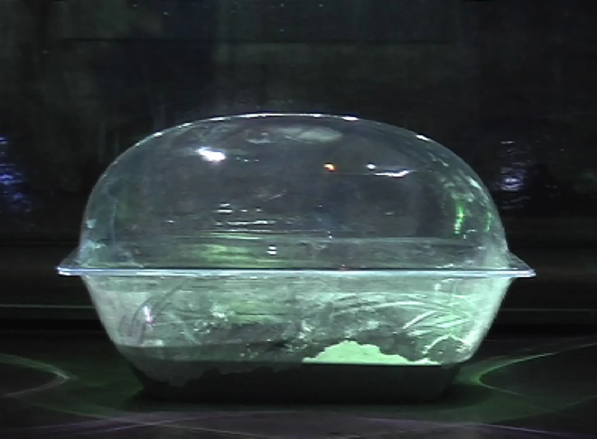 Image Phoenix Death_Birth