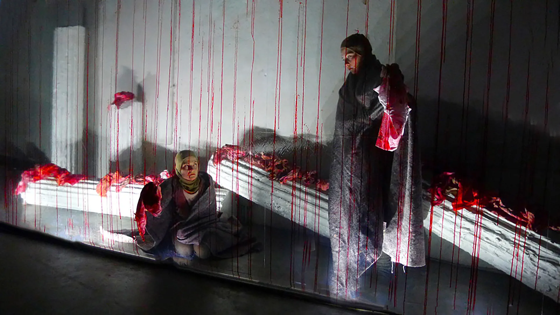 Immagine rappresentativa della sezione del sito