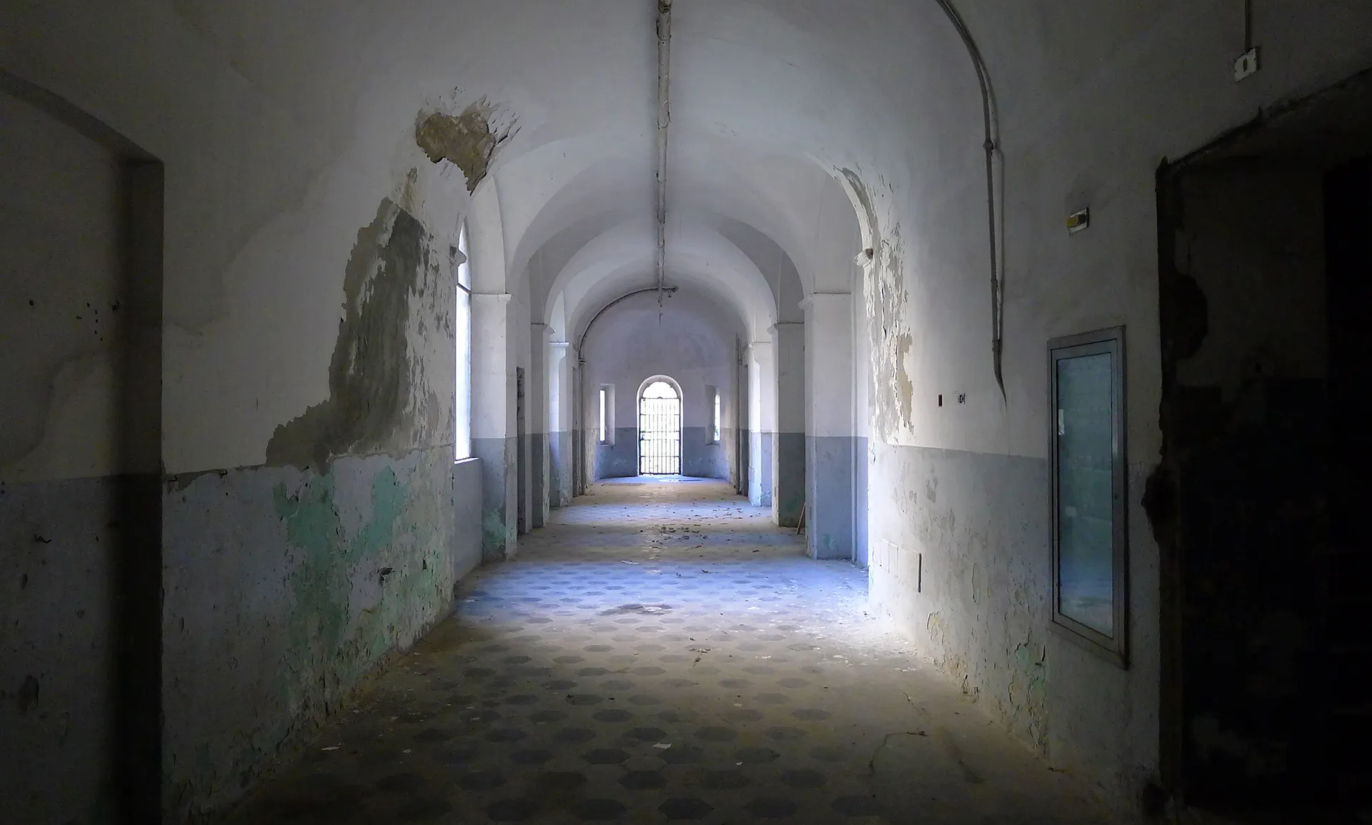 Immagine rappresentativa della sezione del sito