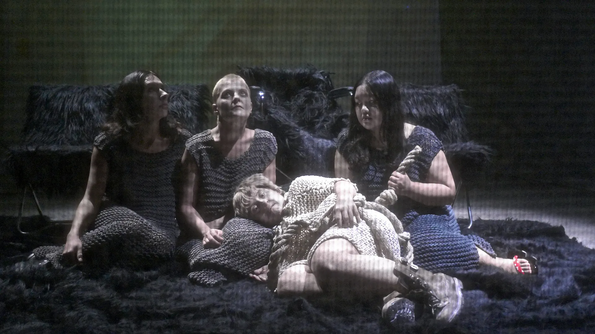 Immagine rappresentativa della sezione del sito