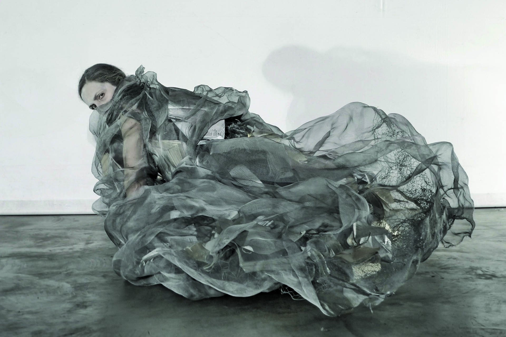 Immagine rappresentativa della sezione del sito