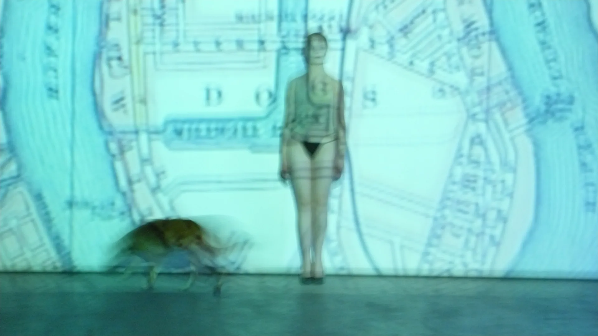 Immagine L'Isola dei Cani