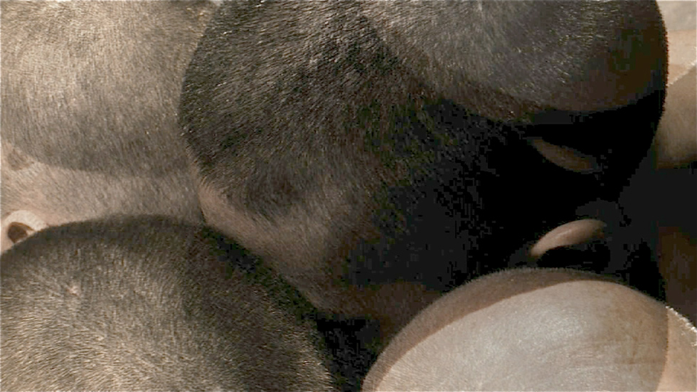 Representative image of the website section