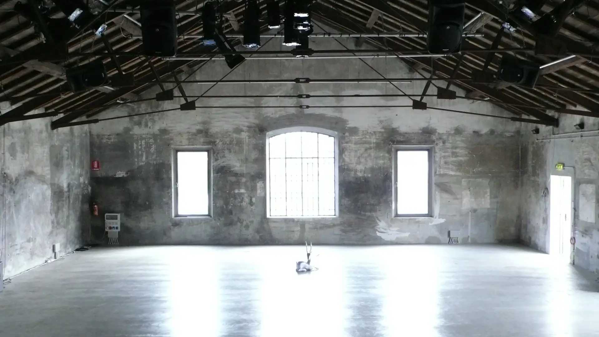 Representative image of the website section