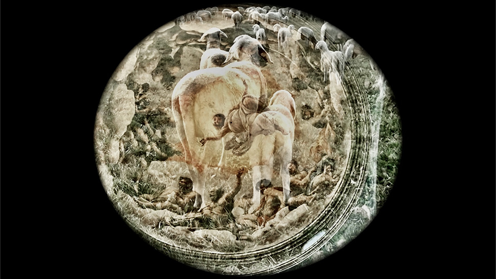 Representative image of the website section